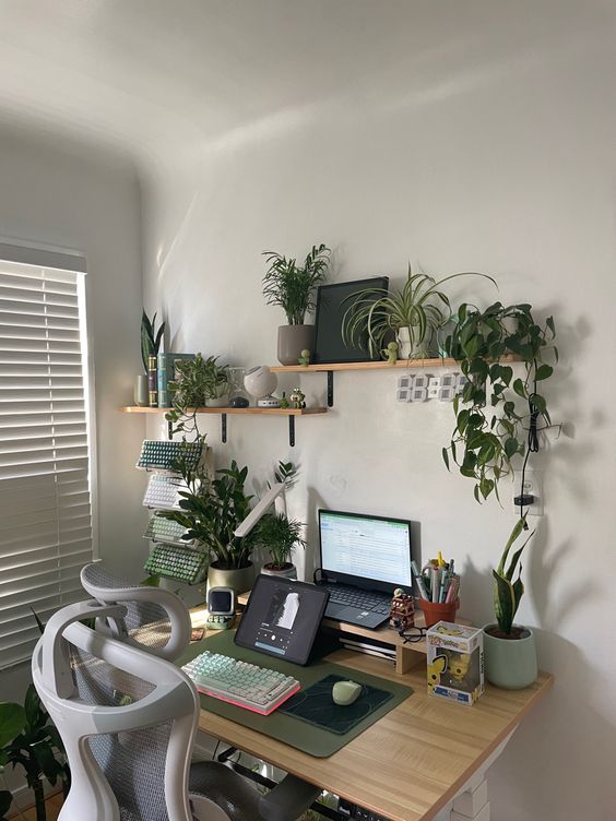 a small study and workspace with a laptop and some keyboards on display, shelves with decor and potted plants and accessories