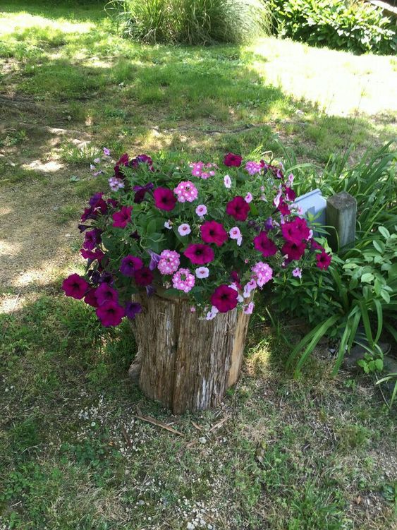 a small tree stump with bold pink, fuchsia and purple blooms and greenery is a colorful decor idea for outdoors