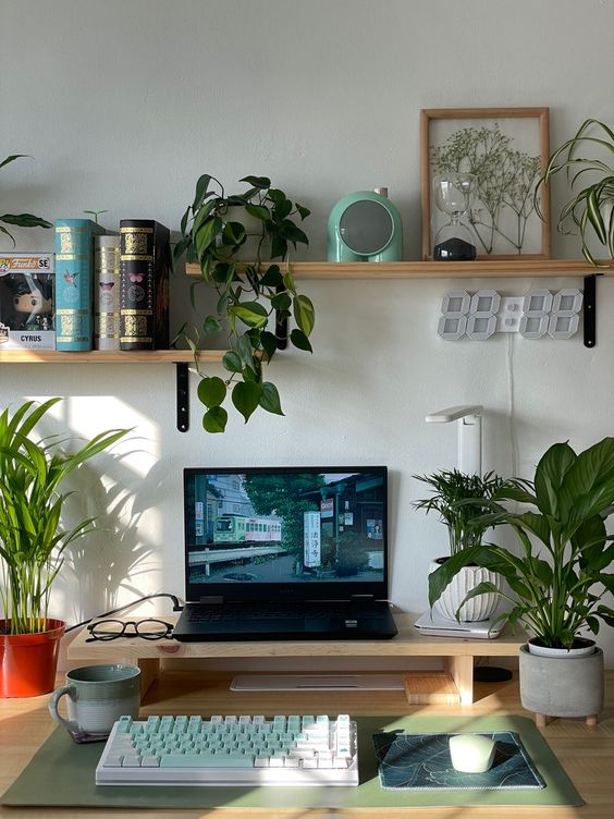 a small workspace with a laptop on a stand, some lamps, potted plants, books, clocks and other stuff