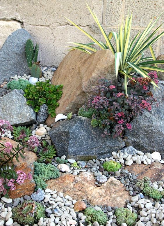 a small yet catchy rock garden with succulents, blooms and pebbles is a very bold and stylish idea to rock