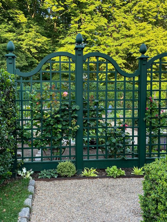 a sophisticated green grid fence with a gate, with green vines and some blooms is an elegant and chic idea for a garden