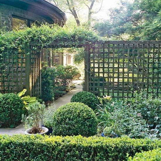 a stained lattice fence with lush greenery on top separates the spaces in a lighweight way letting natural light from one garden part to another
