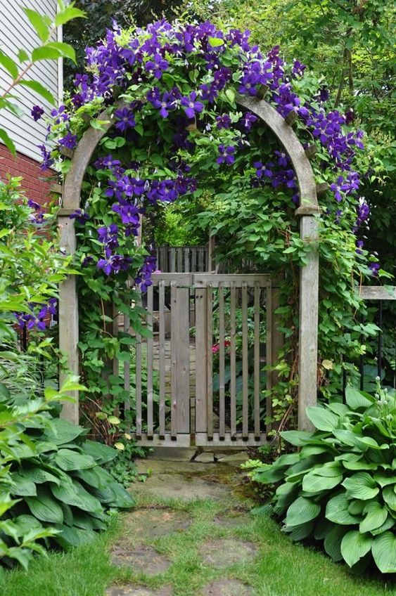 a stained wood fence with a gate and an arbor, with bold purplb vines to add color and interest to the entrance