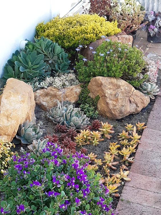 a stylish and chic rock garden with green succulents and bright blooms will add curb appeal to the space