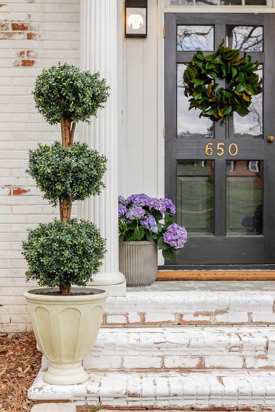 a stylish front porch with a black door, a magnolia leaf wreath, a tall topiary and bold hydrangeas to make a statement