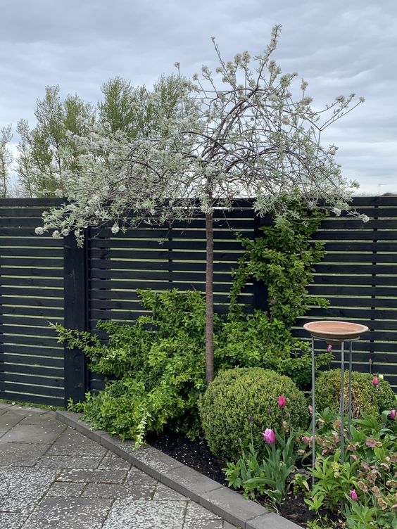 a stylish modern corner garden with greenery and blooms, some topiaries and a tree is a cool idea for a front yard