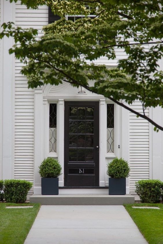 a stylish modern entrance with a black door, glass panes, potted topiaries and some more of them further on the lawn