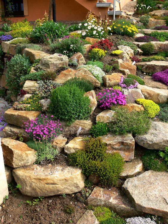 a super bright Alpine rock garden with greenery and colorful blooms is a gorgeous idea for any space, it looks very eye-catchy