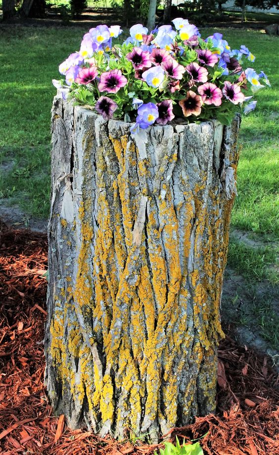 a tall tree stump with greenery, purple and pink blooms is a great alternative to a usual planter and it's all natural