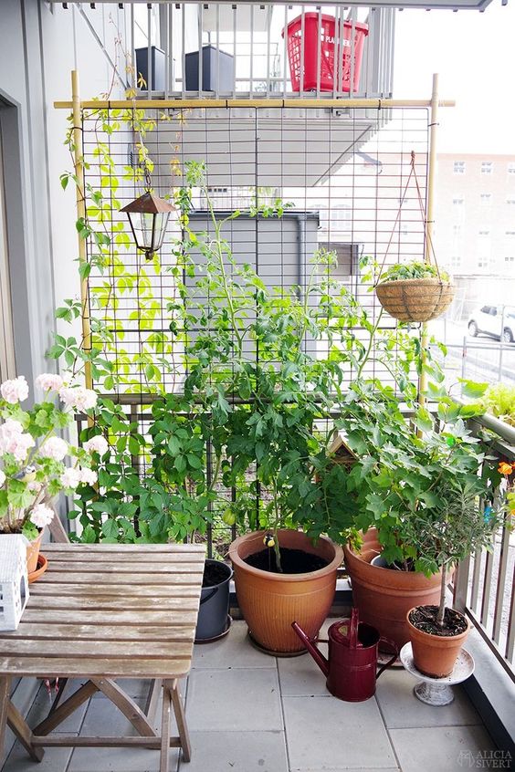 a tiny modern balcony with a stool, a trellis with greenery, potted plants is a fresh space that feels like a garden