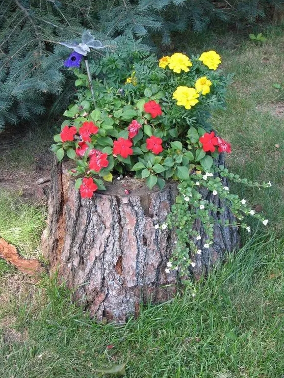 a tree stump with bold blooms and greenery and a butterfly on top is a stylish and catchy idea for a garden