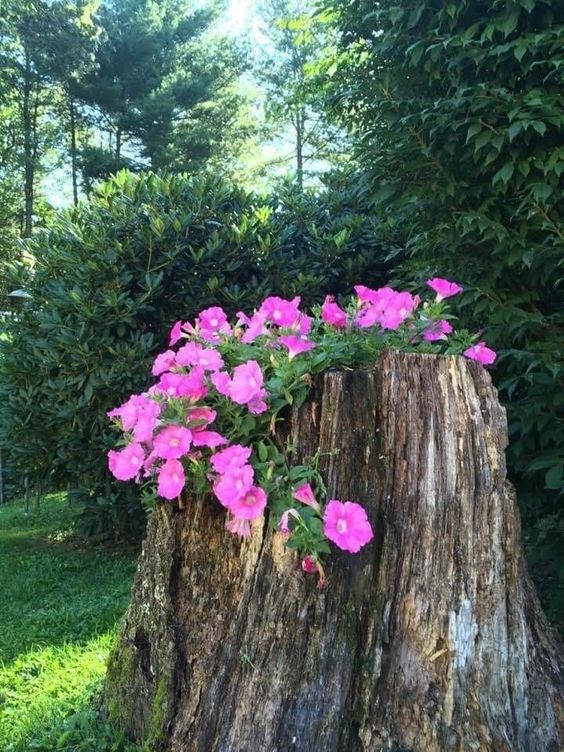 a tree stump with bold pink blooms cascading is a gorgeous and colorful garden decoration to make