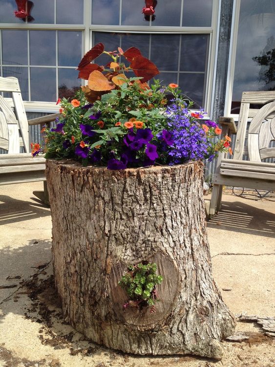 a tree stump with bold purple and orange blooms, greenery and orange foliage is a cool and catchy decoration for outdoors