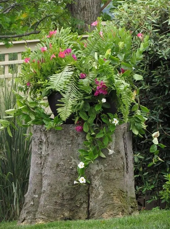 a tree stump with greenery and bright and white blooms is a catchy decoration for a garden