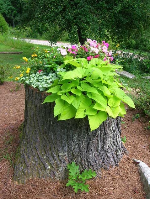 a tree stump with greenery and bright blooms is a catchy and stylish decoration for a garden, it's a bold and cool solution to DIY