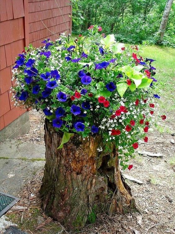 a tree stump with lush greenery, navy, red and white blooms and cascading touches is an amazing garden decoration