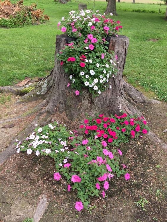 a tree stump with pink, red and white blooms and matching flowers around is a lovely outdoor decoration you can make yourself