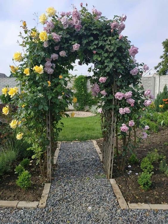 a trellis arch covered with greenery, blush and yellow roses is a beautiful entrance decoration to another part of the garden