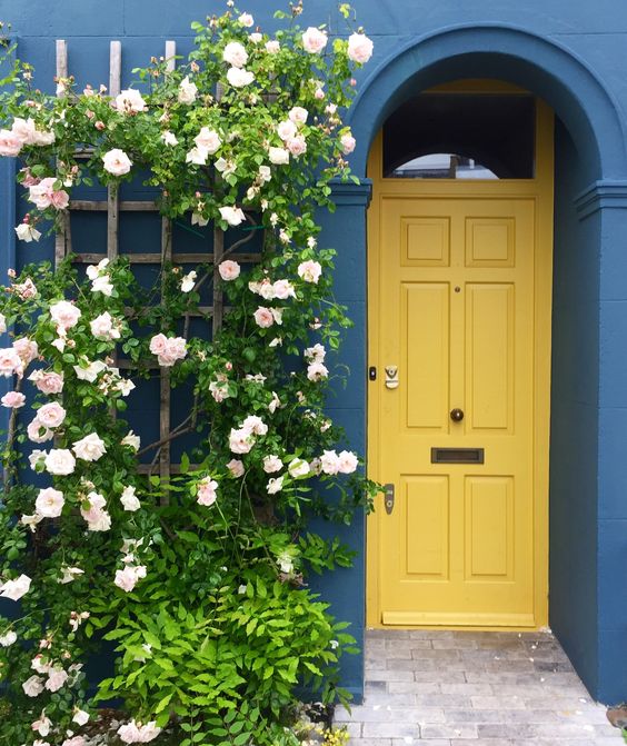A navy wall paired with a yellow door for a contrast, and a trellis on the side covered with climbing rose vines to refresh and soften the space visually. 