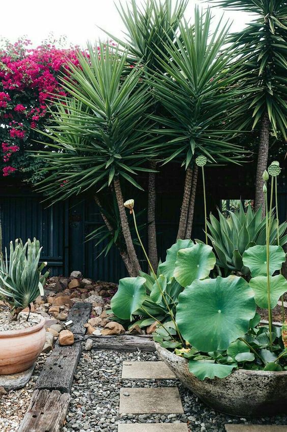 a tropical corner garden with stone bowls with greenery, some trees, pebbles and rocks is a cool and natural-looking space