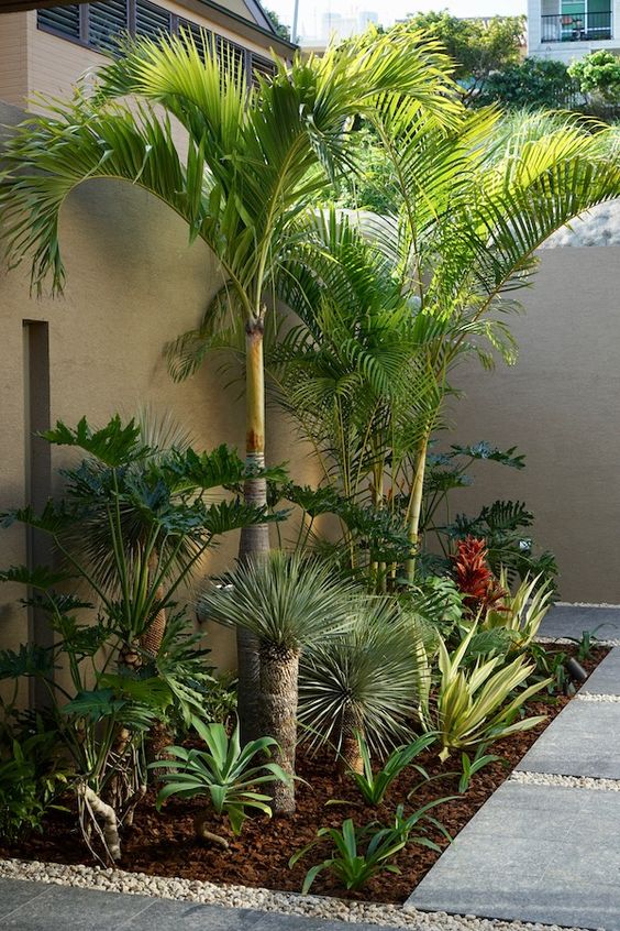 a tropical corner garden with trees and some greenery to add interest to the outdoor space