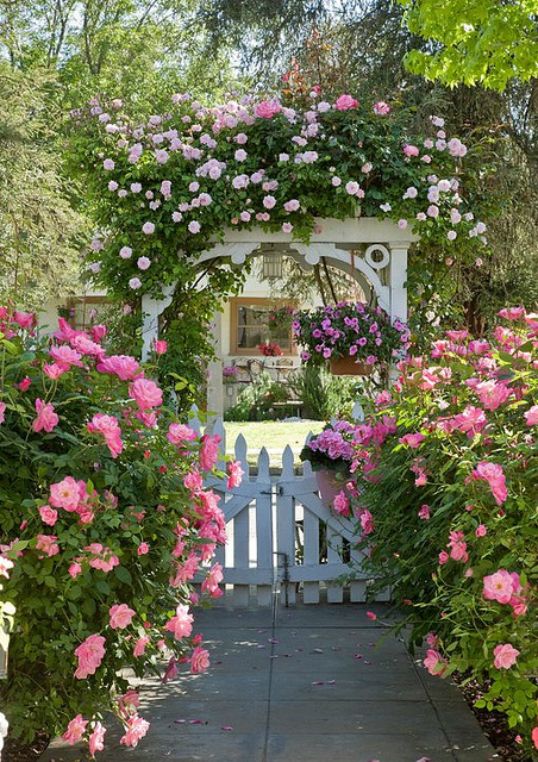 a vintage white garden gate with an arbor over it, with lush blooms on the arbor and along the path already create a garden