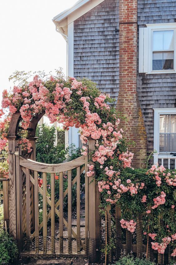 a weathered facade and rough red brick are instantly softenred with lush pink climbers on the fence and arbor