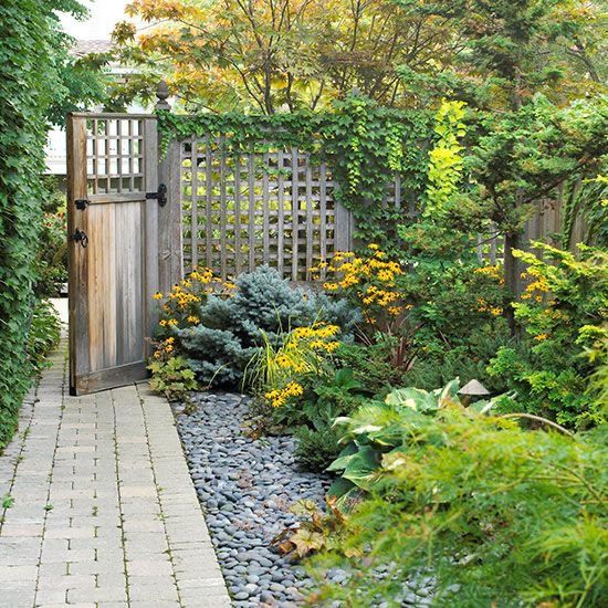 a weathered lattice fence and a gate, greenery climbing up the fence are a beautiful idea for a cottage garden
