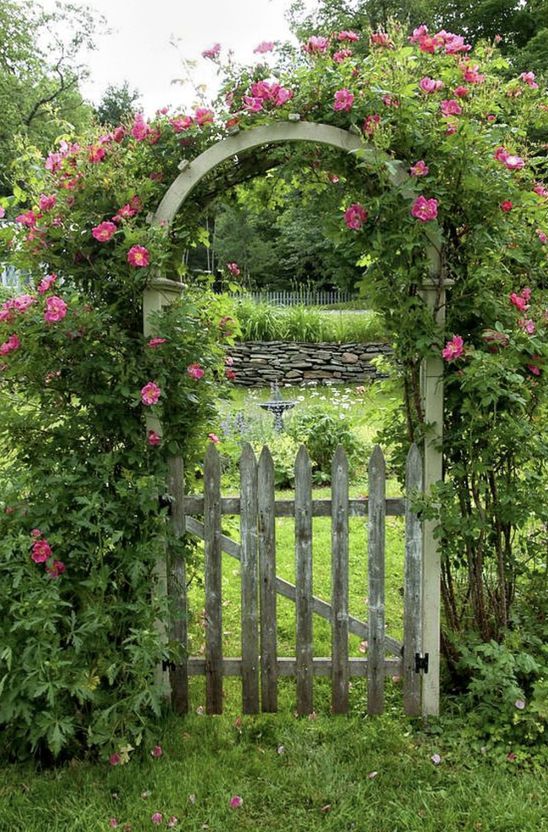a weathered wood fence, gate and arbor, covered with lush greenery and pink blooms are perfect for a shabby chic or vintage-inspired garden