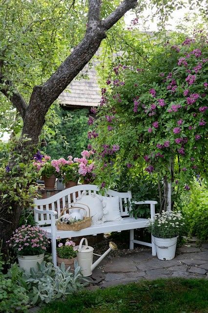a welcoming little garden with greenery, pink and white blooms, a vintage white bench and some blooms in pots is amazing