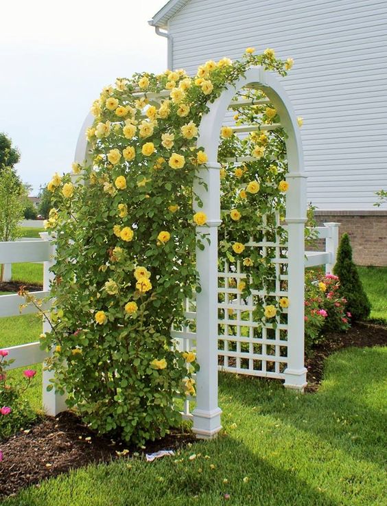 a white arched lattice piece covered with greenery and yellow blooms is a stunning decoration that will show off your flowers