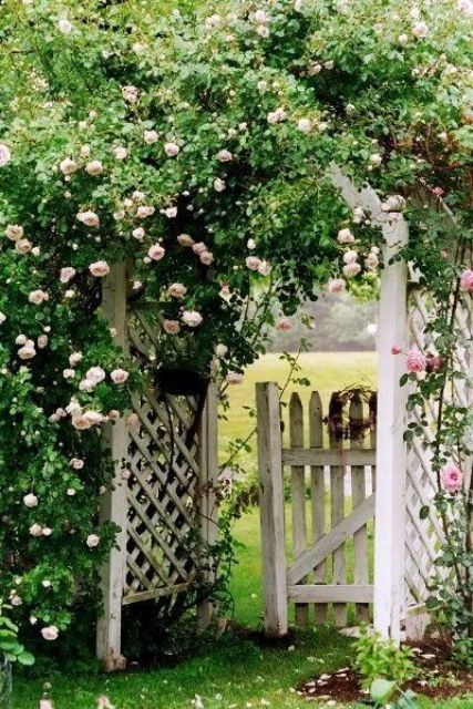 a white arched trellis covered with blooming roses is absolutely adorable, chic and beautiful and feels fairy-tale like