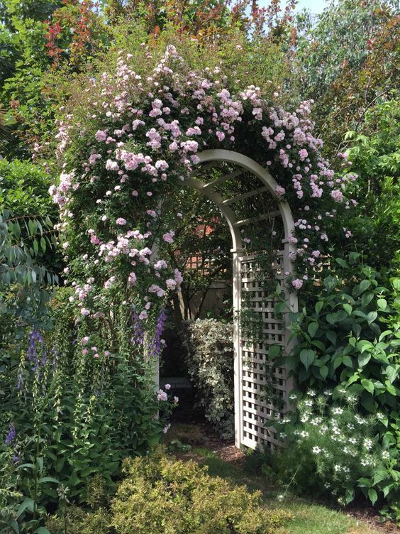 a white curved trellis done with greenery and blush garden roses is a beautiful and chic decoration that makes a garden picturesque