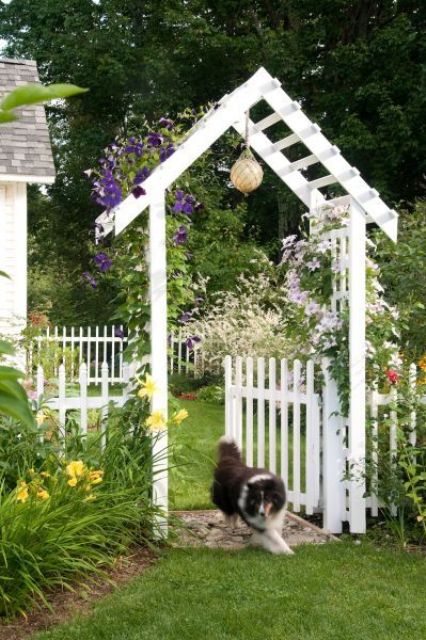 a white picket fence with a gate and an arbor over it, with some purple blooms for a touch of color, surround your fence with vibrant flowers