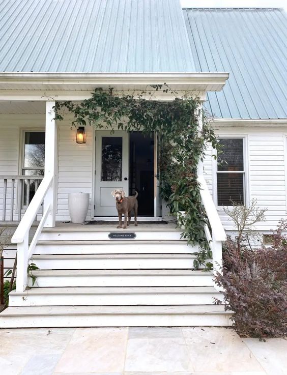 A clean white porch is made more eye-catching and natural with green vines climbing up. 