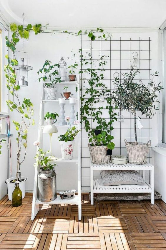 a white Scandinavian balcony with a ladder with decor, a grid with some vines and a potted tree is serene and airy