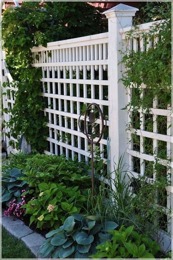 a white trellis fence covered with green vines and lined up with some greenery and blooms will add curb appeal to your house