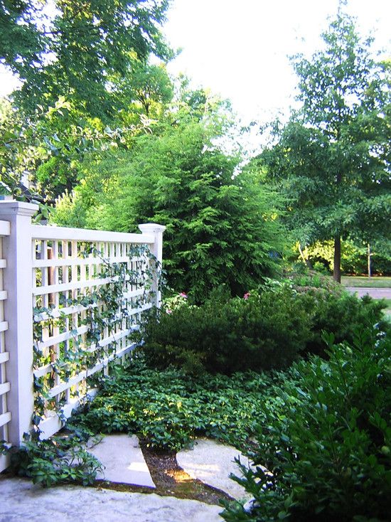 a white trellis fence covered with some green vines looks beautiful, chic and lovely, and greenery around makes it stand out