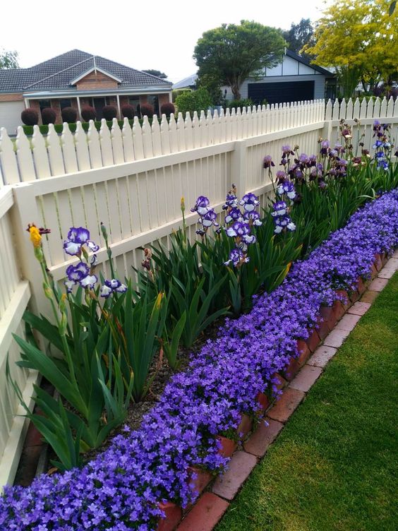 a white wooden fence with a raised garden bed, with bright purple flowers and greenery are a cool and catchy combo for a cottage space