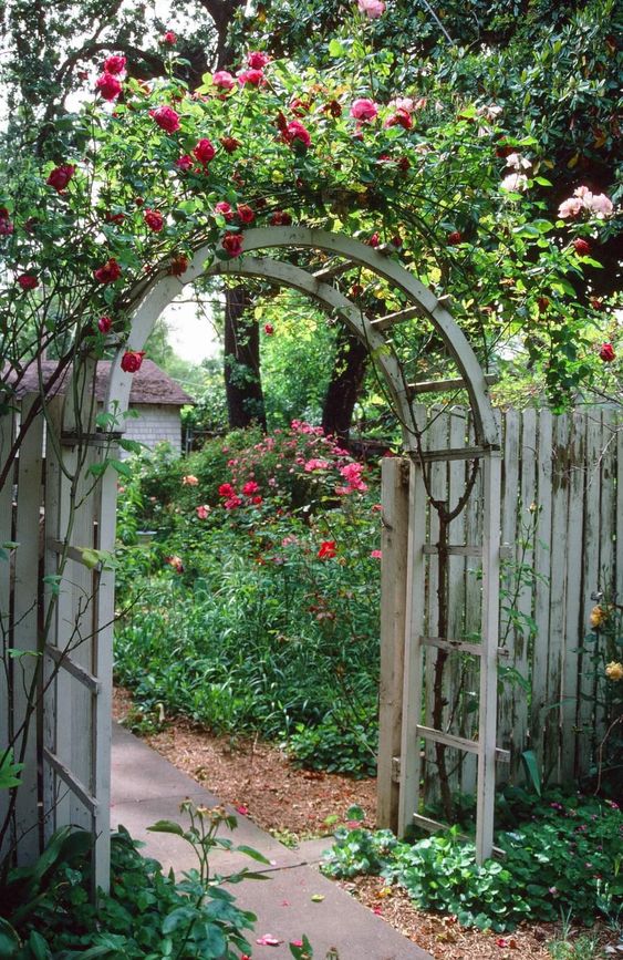 a whitewashed arched trellis covered with red roses is a perfect entrance decoration for any refined garden