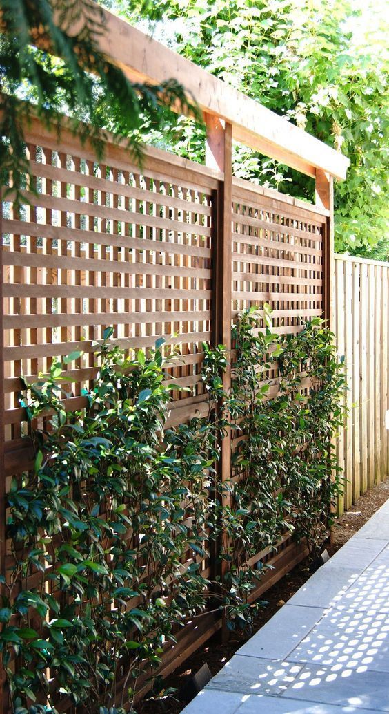 a wooden fence paired with a trellis part covered with greenery is a lovely solution for a modern or rustic garden