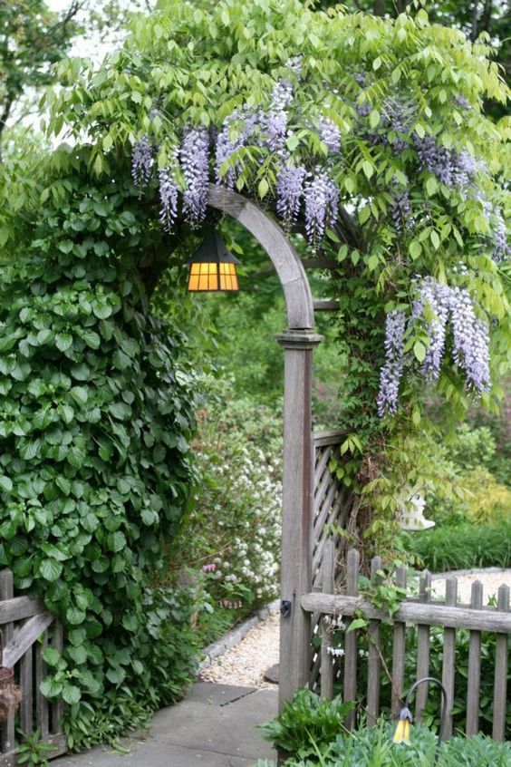 a wooden trellis arch covered with greenery and wisteria is a dreamy decor idea for a garden, front or backyard