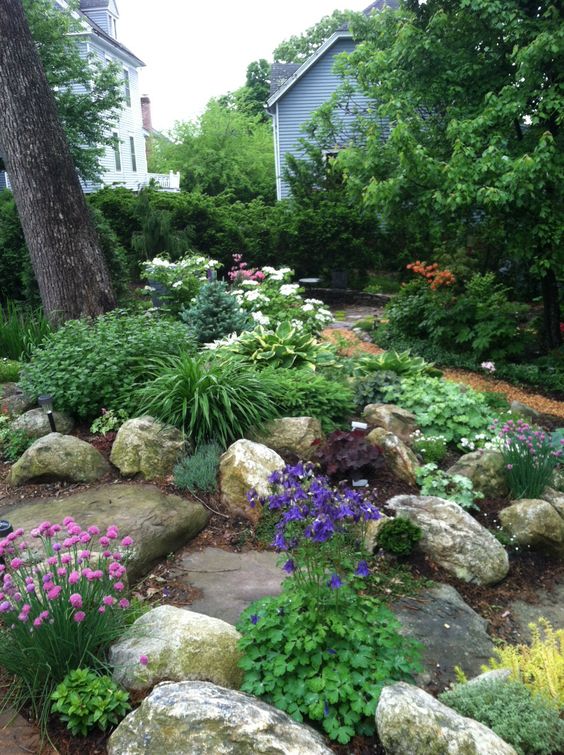 an Alpine-style garden with rocks, greenery and bright blooms and even some trees is a very cool and catchy idea for your space