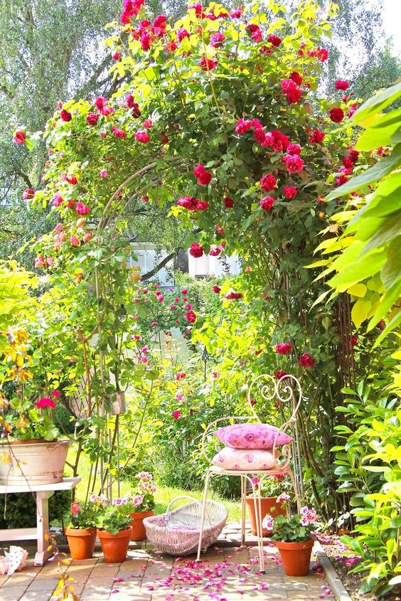 an arch covered with jaw-dropping bold blooming vines is a fantastic decoration to create a secret garden feel in the space