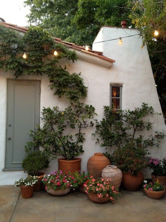A cozy Mediterranean front yard is decorated with an arrangement of planters with greenery and blooms and some green vines climbing up.
