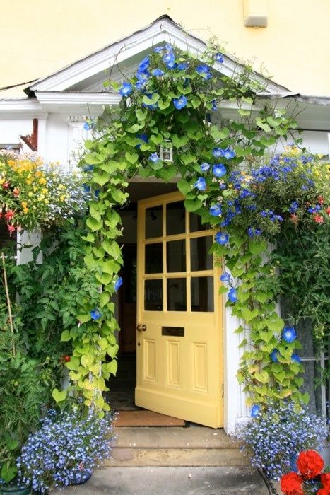 A yellow door with glass panes, lush green and blooming vines over the door create a bold and very eye-catchy entrance. 