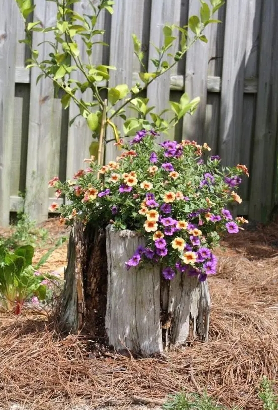 an old stump with yellow and purple blooms and greenery is a very eye-catchy decoration due to the contrast