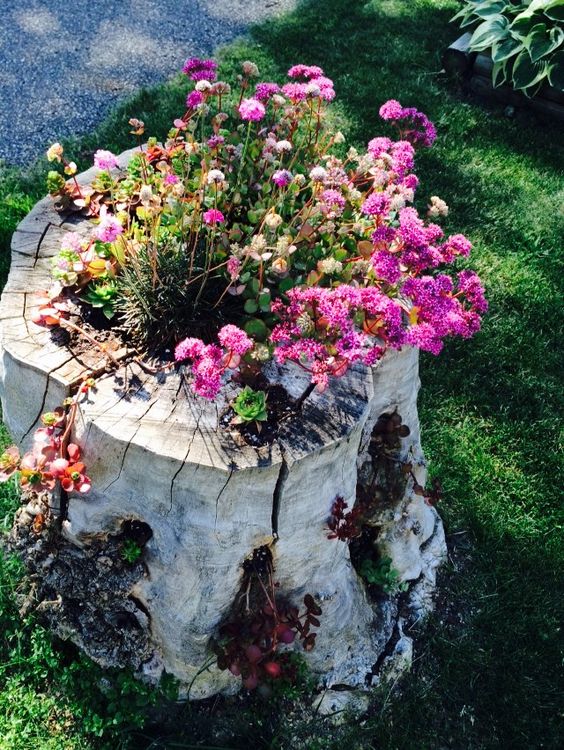 an old whitewashed stump with berries and bold pink blooms and dark foliage is a very bold and statement-like decoration