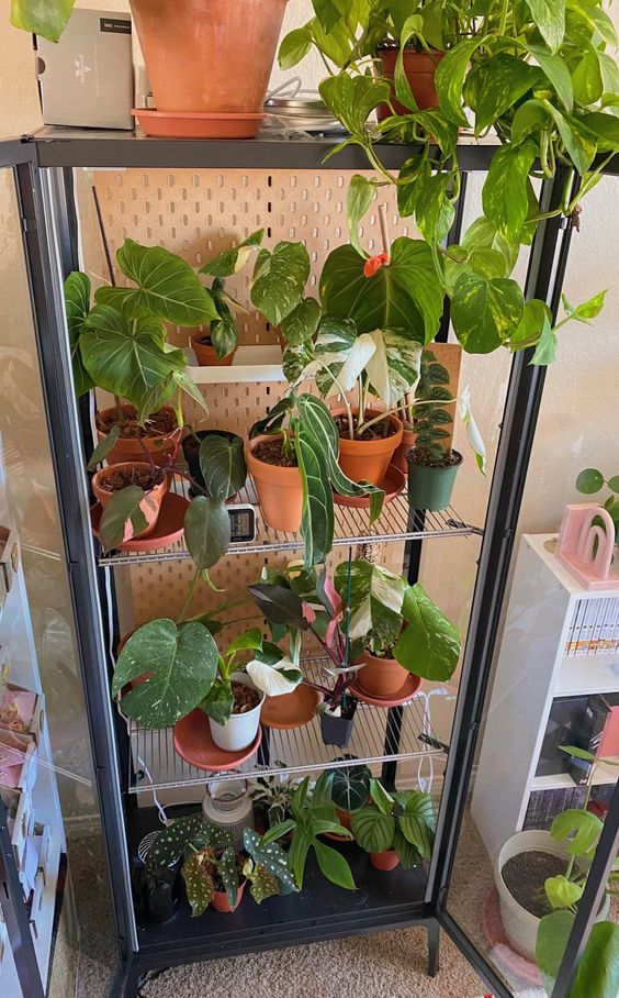 an open shelving unit of metal with multiple shelves is a great idea not only for storage but also can be used as a vertical garden