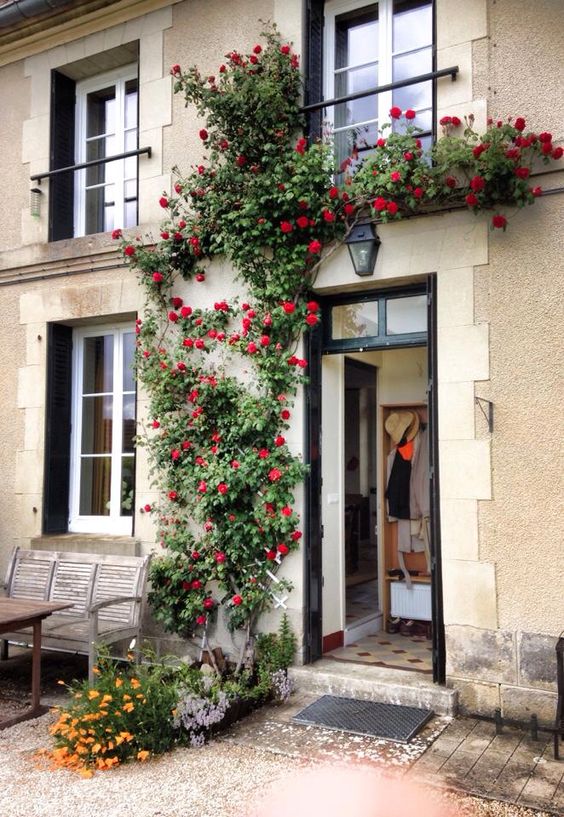 Bright red blooming vines covering the wall and going up the door are amazing for adding a bit of color to the space.